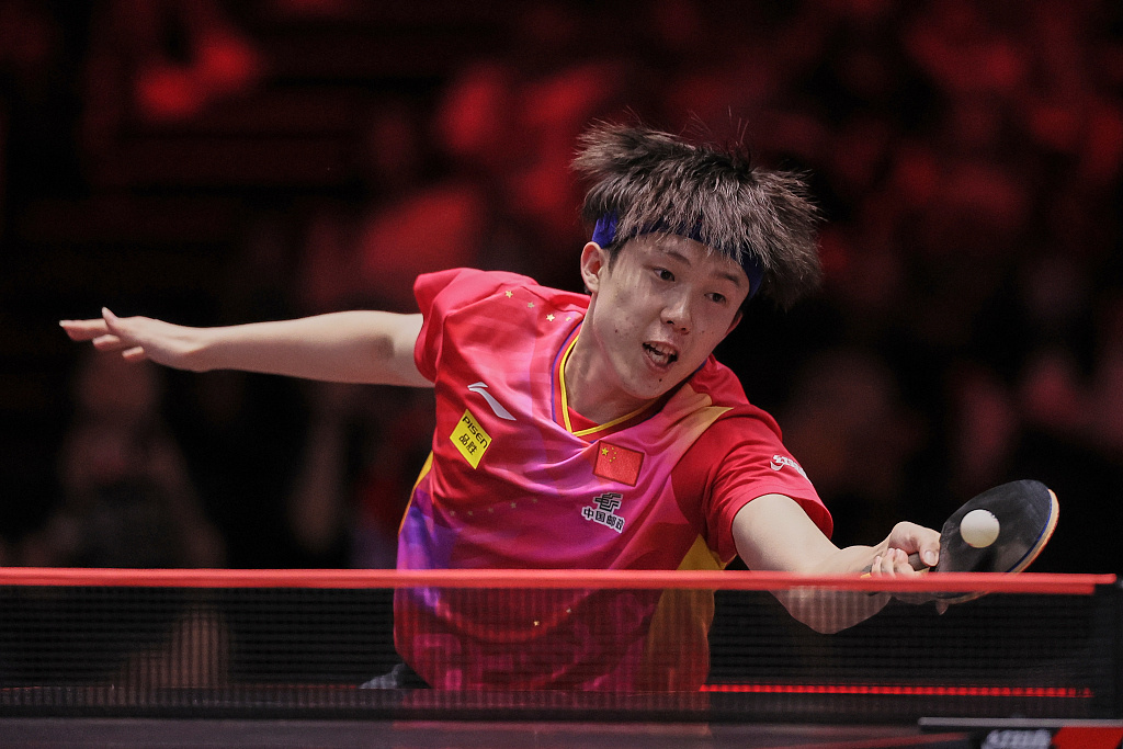 型的可能性 型的可能性