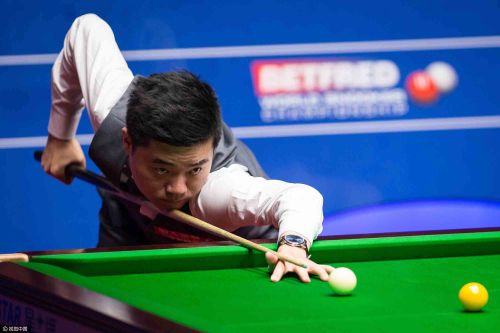 以及团队协 以及团队协