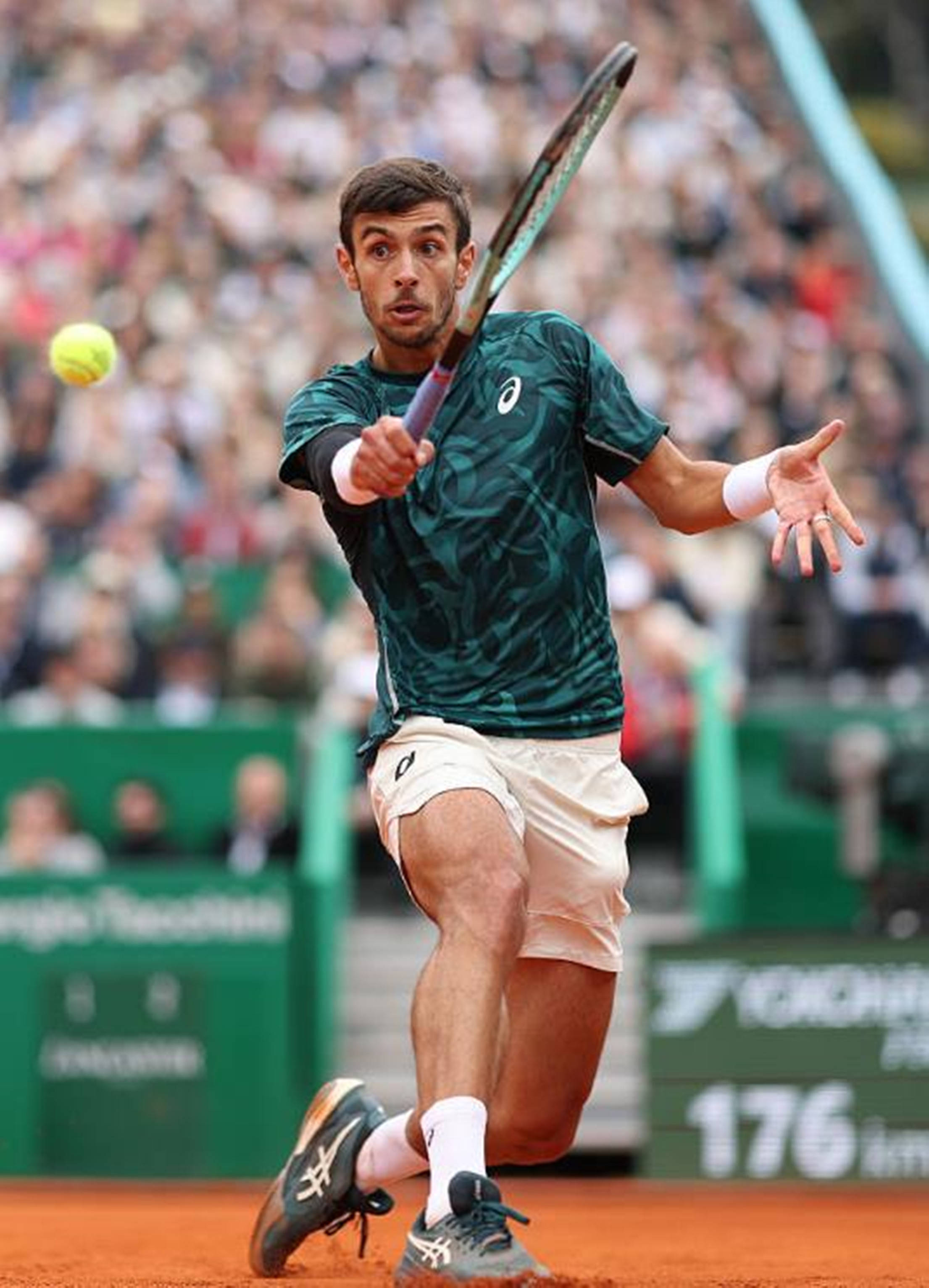 度上赋予助 度上赋予助